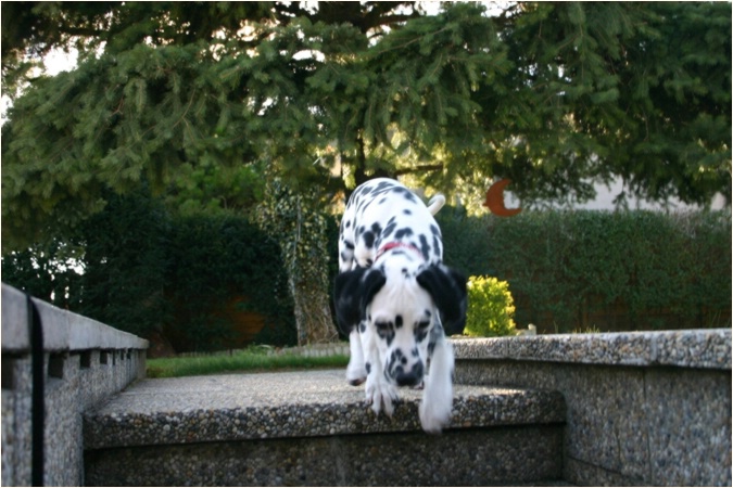 wenn's Mami da runter geht, will ich auch